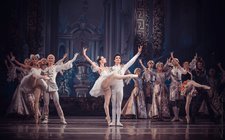 Спляча красуня Спляча красуня