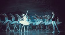 Лебедине озеро Лебедине озеро