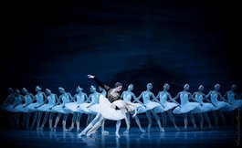 Гала-концерт артистів балету: українські зірки та запрошені гості  