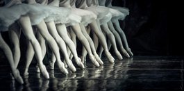  Національна опера України оголошує конкурс на заміщення вакантних посад артистів балету