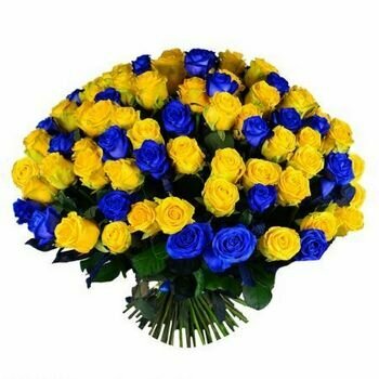 З нагоди Дня Незалежності України: почесне звання Наталії Николаїшин 