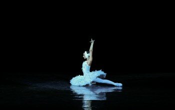 Від класики до модерну: концерт «Зірки українського балету» Від класики до модерну: концерт «Зірки українського балету»