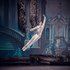 У партії Принца Дезіре в балеті П. Чайковського "Спляча красуня".